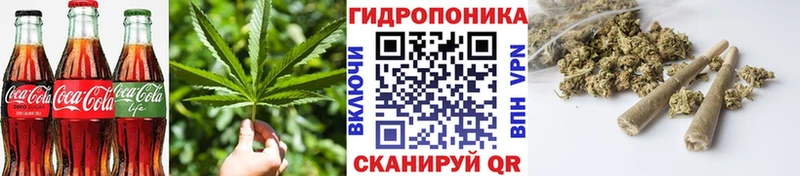 Cannafood конопля  Шилка 