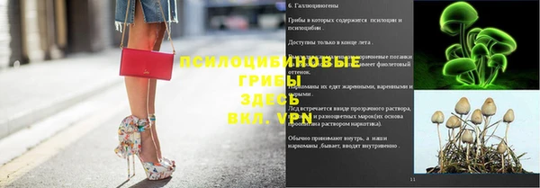 эйфоретик Волоколамск