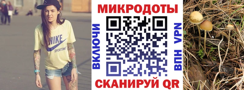 Галлюциногенные грибы мухоморы  Шилка 
